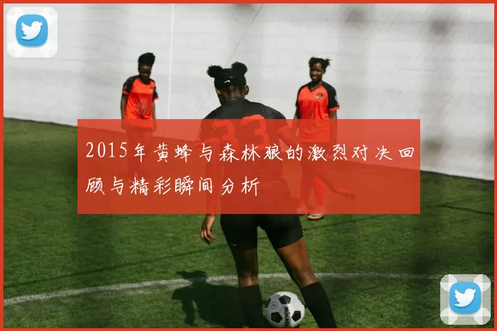 2015年黄蜂与森林狼的激烈对决回顾与精彩瞬间分析