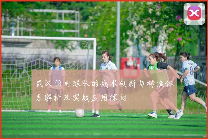 武汉羽毛球队的战术创新与转换体系解析及实战应用探讨