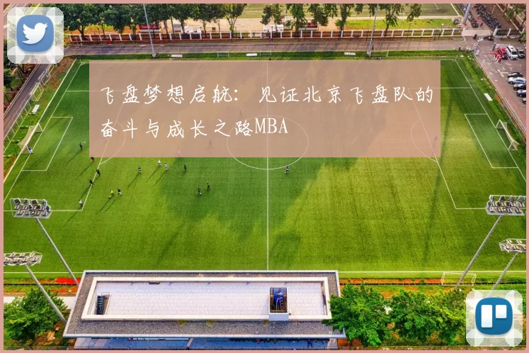 飞盘梦想启航：见证北京飞盘队的奋斗与成长之路MBA