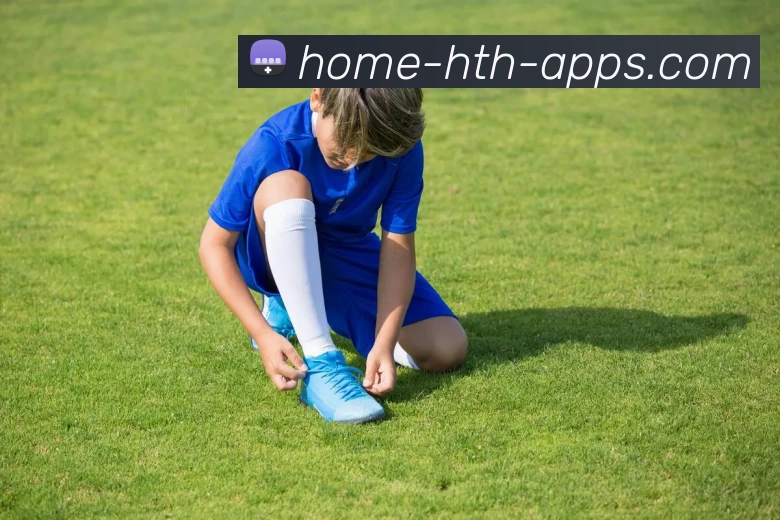 hth华体会APP 封面图